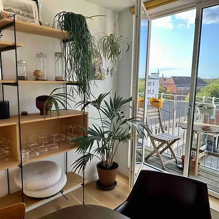 Apartment Penthouse: Delight