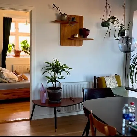 Penthouse: Delight Apartment *